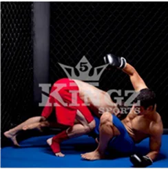 MMA fighters training on the ground in 5 Kingz Sports gear