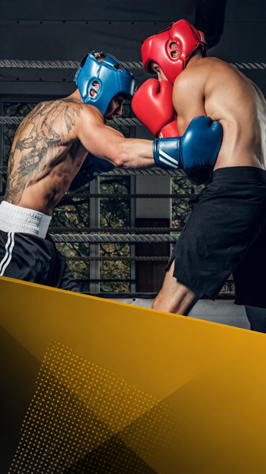 Custom boxing gloves and boxing equipment manufacturer